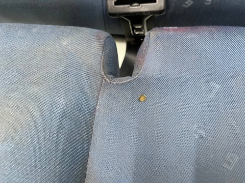 Fotele Mazda 2 I DY 02-07r. kanapa tylna KOMPLET do wyczyszczenia DG4