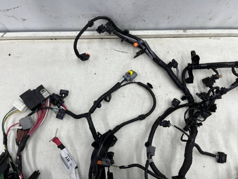 Wiązka Nissan Juke II 2 F16 19r.- 1.0 DIG-T instalacja przewodów silnika wtrysków i podzespołów NIEUSZKODZONA 240116pa0c