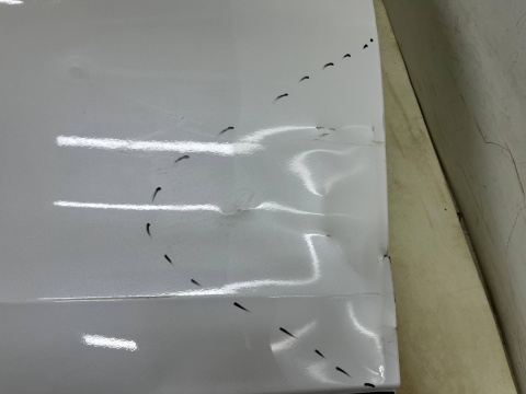 Drzwi MG Marvel R 21r.- prawe przednie prawy przód 10260327