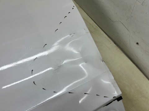 Drzwi MG Marvel R 21r.- prawe przednie prawy przód 10260327