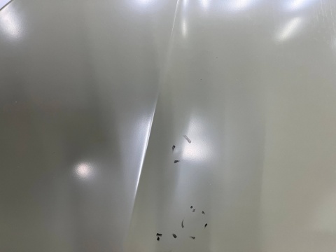 Maska VW Polo 4 IV 9N 05-09r. Lift pokrywa silnika zamiennik Van Wezel 5828660