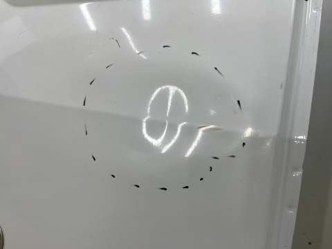 Drzwi Iveco Daily Maxi 4 IV 14r.- lewe tylne lewy tył 