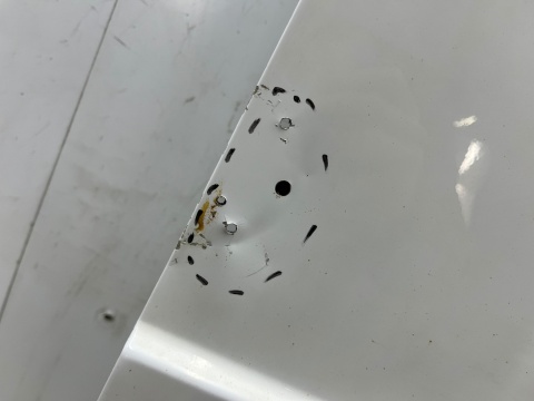 Drzwi Mercedes W910 W907 18r.- prawe tylne prawy tył A9107424900