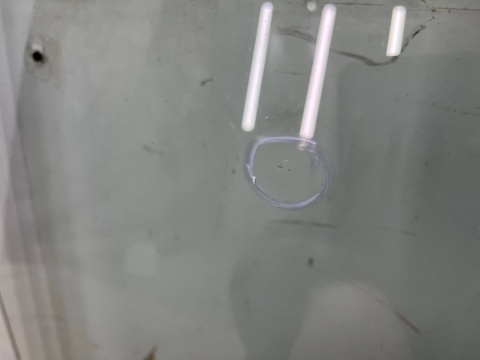 Szyba przednia Opel Zafira B 05-14r. czołowa