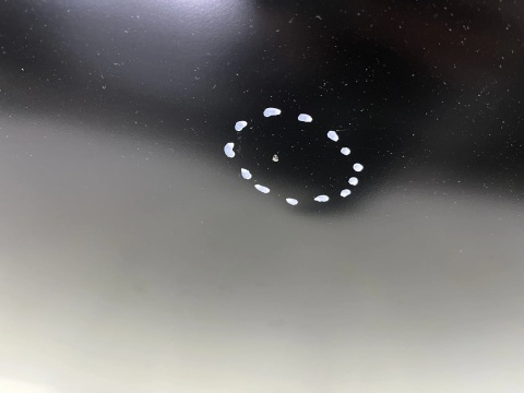 Drzwi Nissan Qashqai J10 1 I 06-13r. lewe tylne lewy tył nowe oryginalne H2101-JD0MC