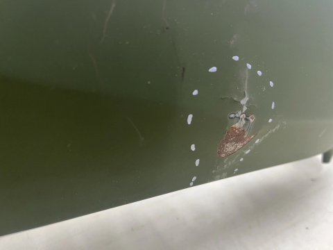 Błotnik Mitsubishi L200 5 V 19-23r. Lift prawy przedni prawy przód