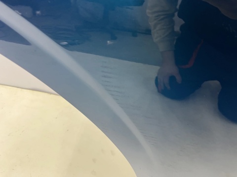 Drzwi Peugeot 3008 3 III 23r.- prawe tylne prawy tył