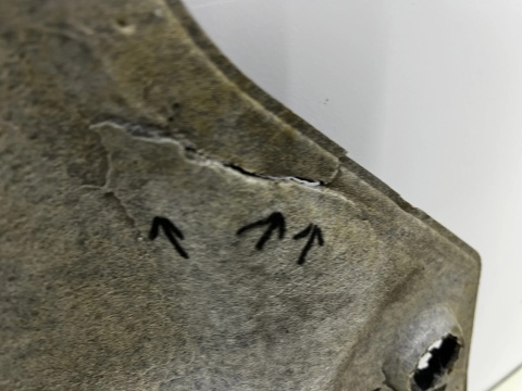 Osłona pod silnik Mazda 6 GH 07-12r. płyta dolna podwozia pod silnik gs1d 56110