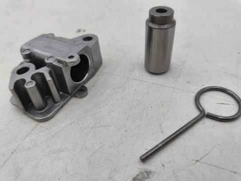 Napinacz łańcucha rozrządu Jaguar Land Rover 06r.- 3.0 V6 5.0 V8 aj813898