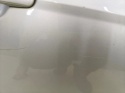 Drzwi Ford Focus Mk3 III 10-19r. prawe przednie prawy przód 0F