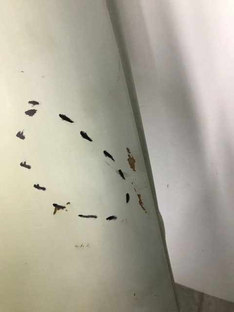 Błotnik VW bora VW jetta IV 4 98-05 lewy 1J5821021