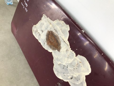 Klapa bagażnika Alfa Romeo Giulia GT 1966r