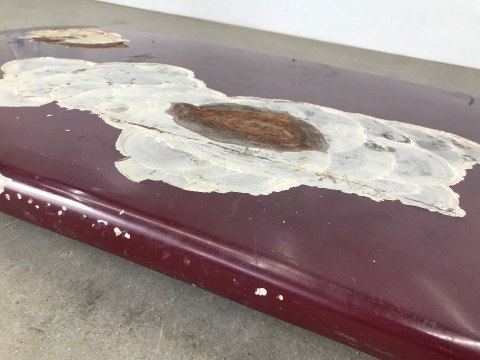 Klapa bagażnika Alfa Romeo Giulia GT 1966r